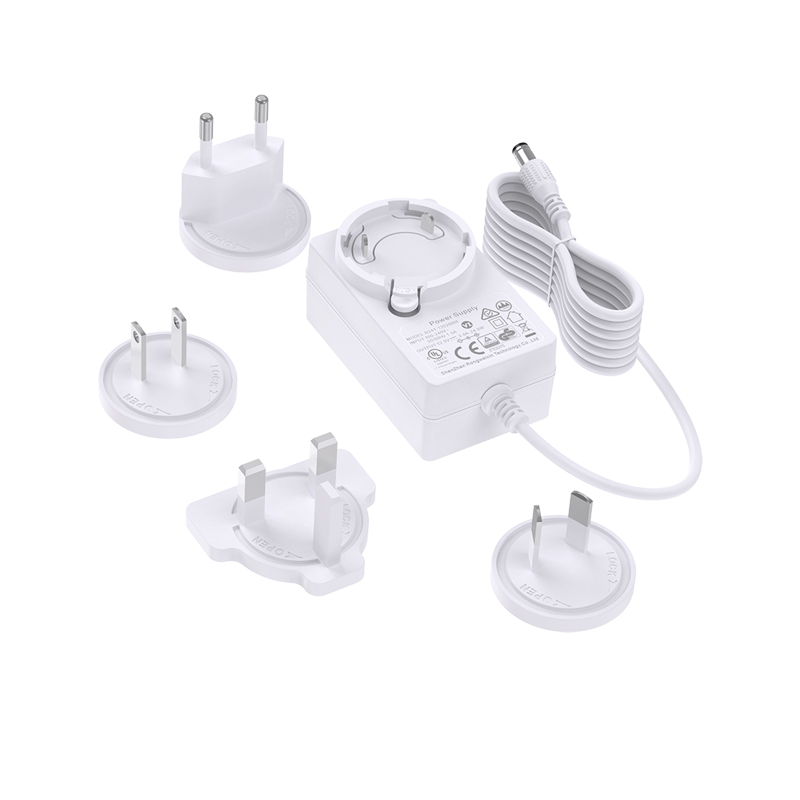 12v 2a 24w Interchangeable Plug Power Adapter